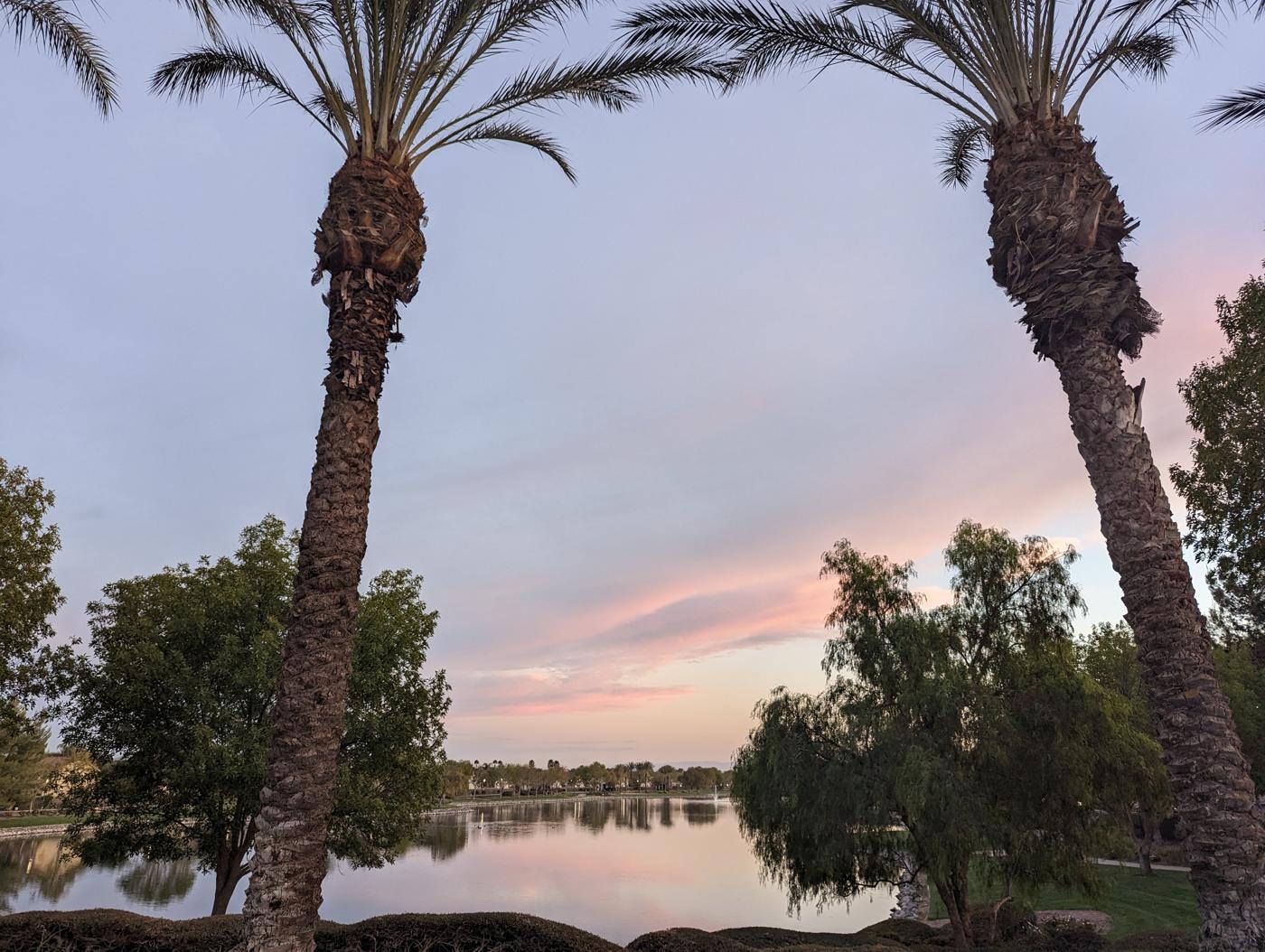 Palm trees framing the lake at dusk, pink clouds reflected in the water
